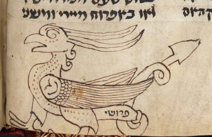 Griffon