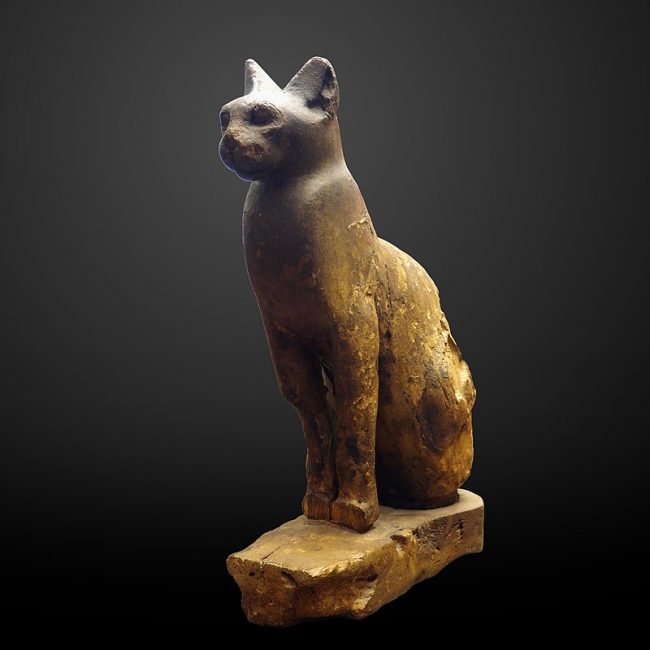 Cat mummy-MAHG 23437